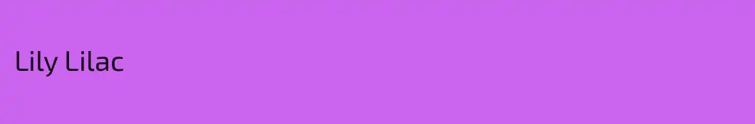 Lily Lilac